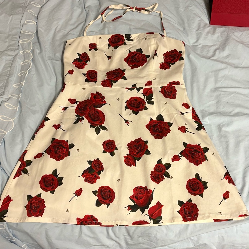 White Fox Boutique Scarlet Rose Mini Dress